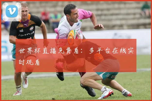 世界杯直播免费看：多平台在线实时观看