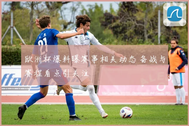 欧洲杯爆料曝赛事相关动态 备战与赛程看点引关注