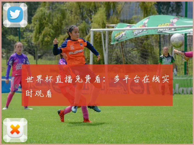 世界杯直播免费看：多平台在线实时观看